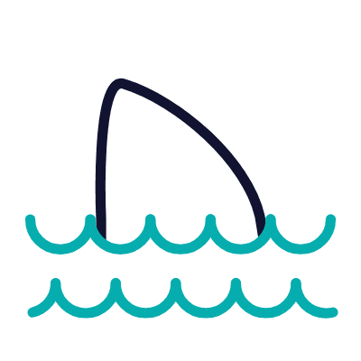 wired-outline-1173-shark-hover-pinch