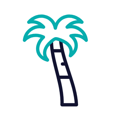 wired-outline-1855-palmtree-hover-pinch